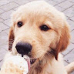 Meet your Posher, Isabel